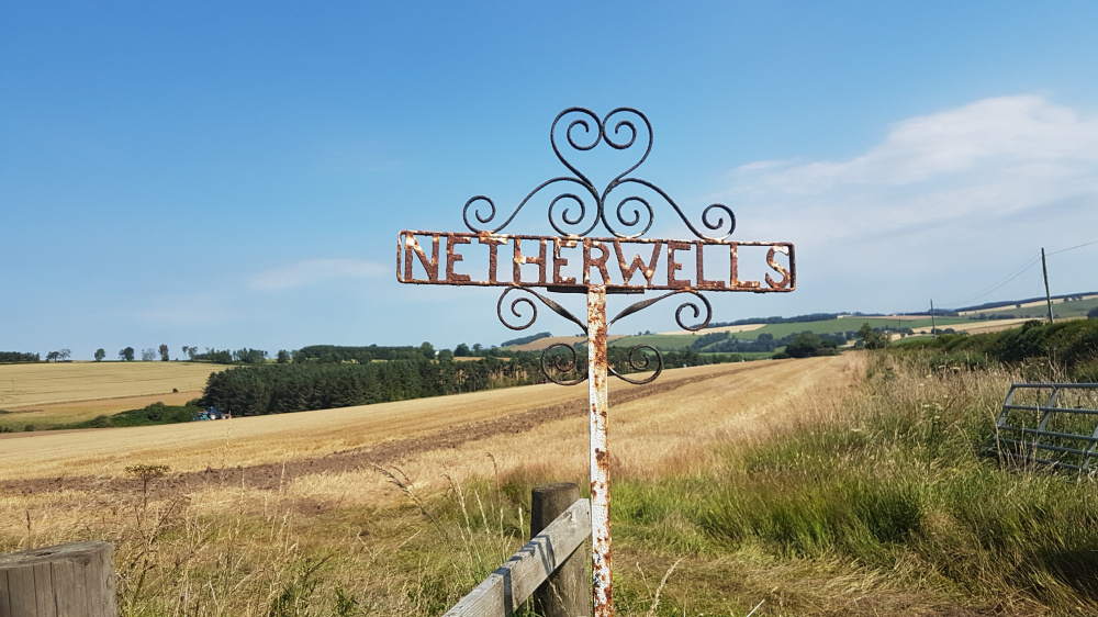 Netherwells木头